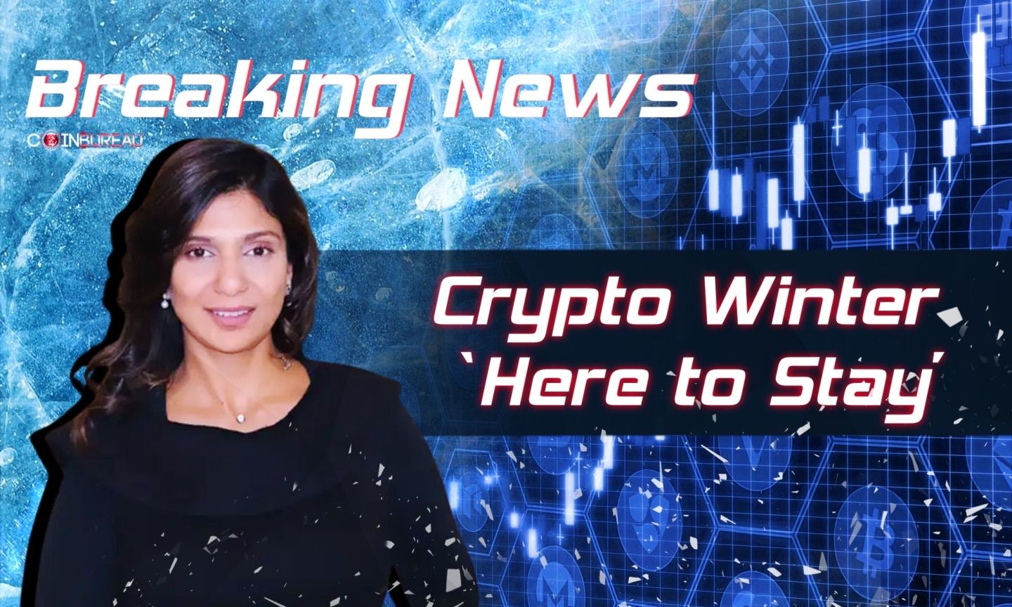 Bank of America Says No Crypto Winter, Citing Develpper Activity and User  Growth - Coin Bureau