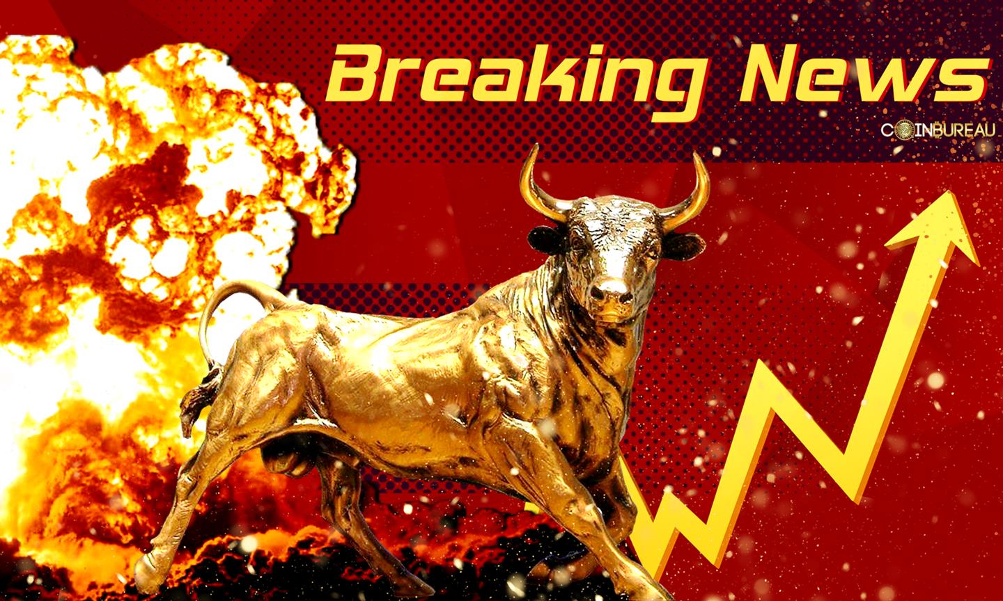 Bitcoin Adoption will Soften any Drop when Bull Cycle Ends