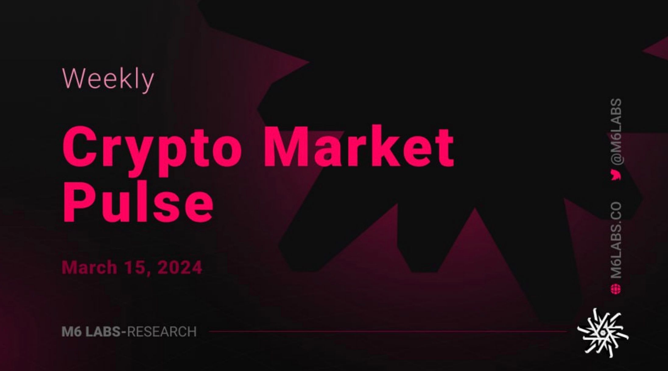 M6 Labs Crypto Market Pulse: Tales Of Lambos And The Moon - Coin Bureau