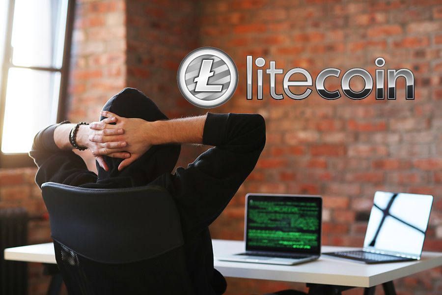 Darknet litecoin